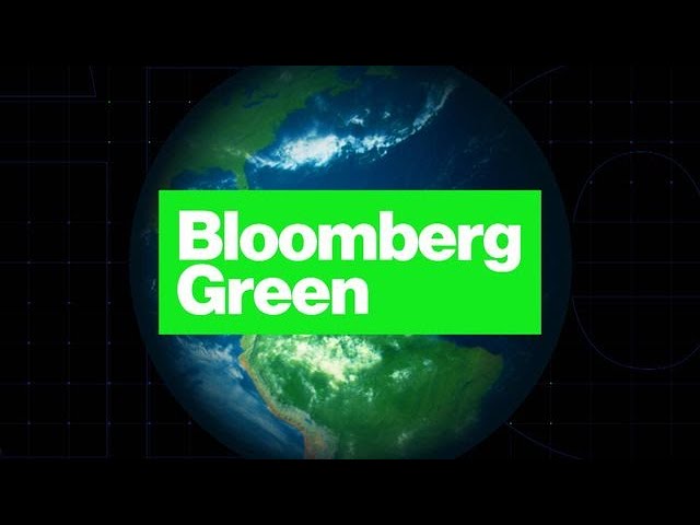image 0 Bloomberg Green: Germany Election Special