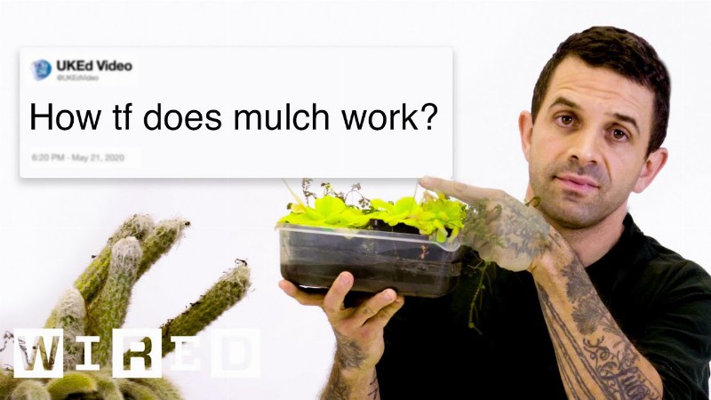 image 0 Botanist Answers Plant Questions From Twitter : Tech Support : Wired