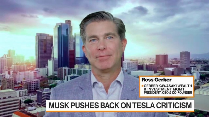 Elon Musk Shouldn't Run Twitter Says Tesla Investor Gerber