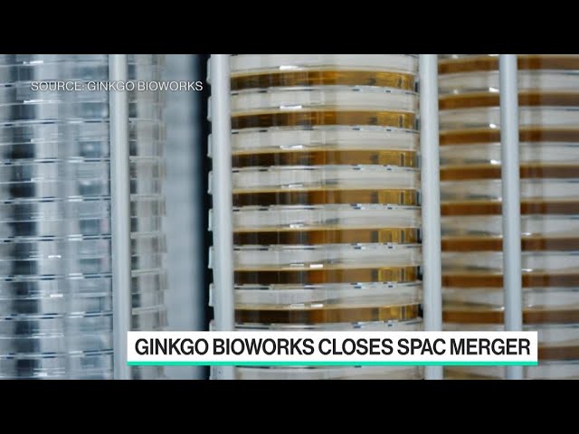 image 0 Ginkgo Bioworks Ceo: Delta Will Be 'endemic Like The Flu'