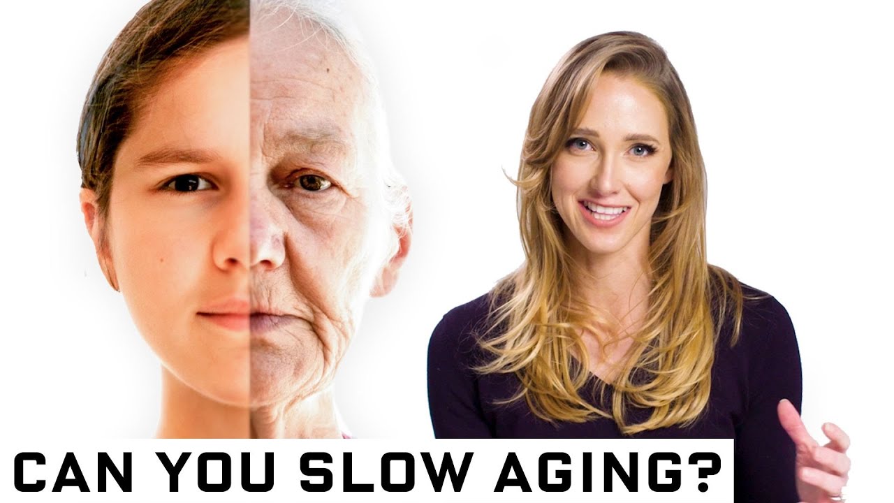 image 0 The Science Of Slowing Down Aging : Wired