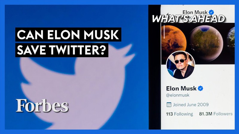 Twitter Is A Mess! Is Elon Musk The Only One Who Can Save It? - Steve Forbes : What's Ahead : Forbes