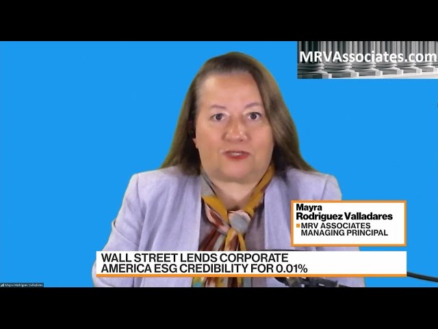 image 0 Wall Street's Esg Lending Practices Coming Under Fire