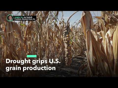 image 0 What Is The Impact Of Drought On U.s. Crops?