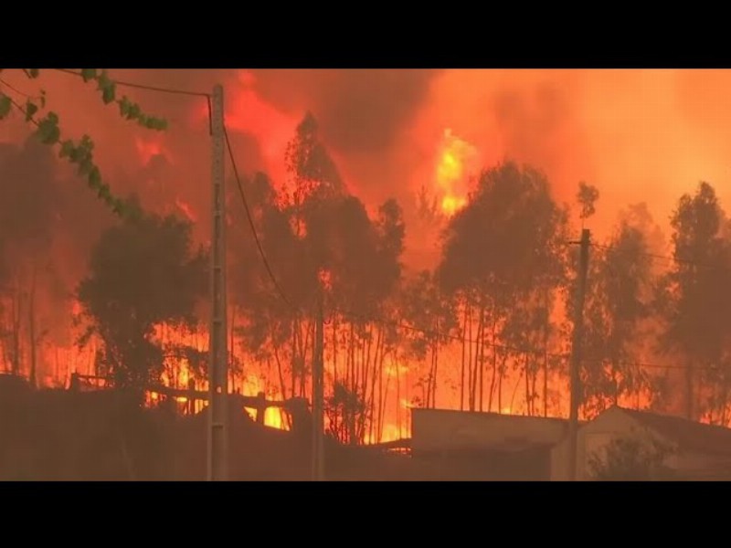 Wildfire Threatens To Engulf Village In Central Portugal